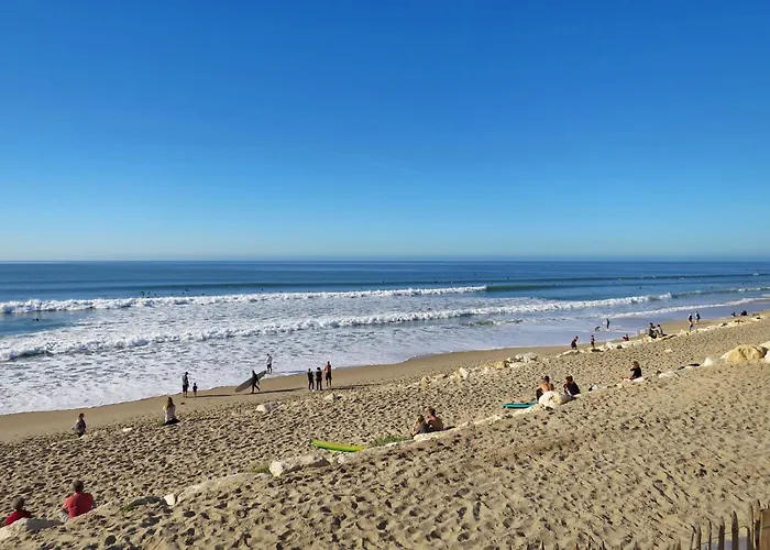 Lägenhet Les Oyats By Interhome Lacanau